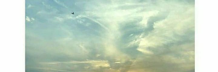 poulami_9's profile banner image