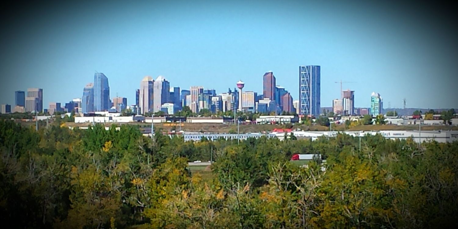theBerryYYC's profile banner image