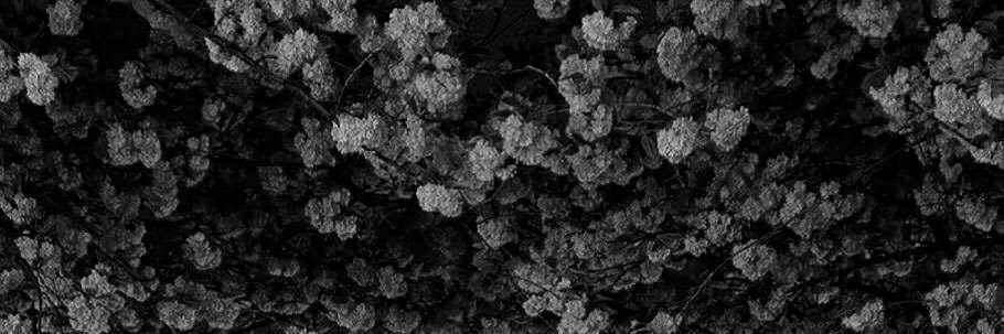 chelseacw's profile banner image