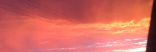 dissredhead1's profile banner image