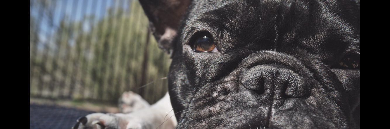 aftynbeaird's profile banner image