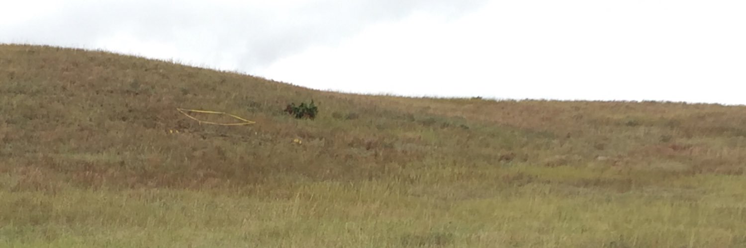 dagibbens's profile banner image