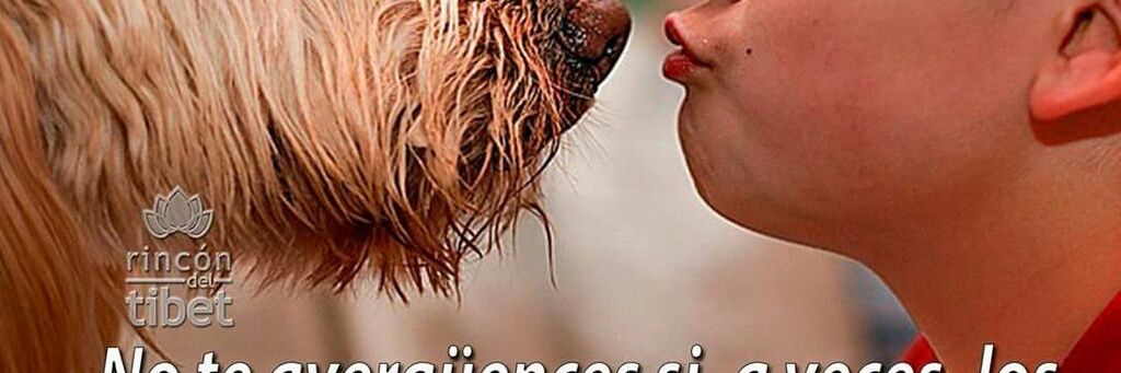 comandanterubia's profile banner image