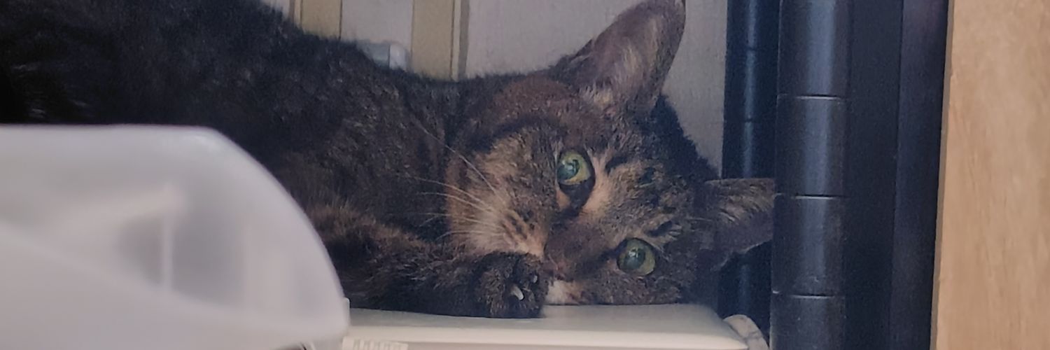 Ren@買い物メモ banner