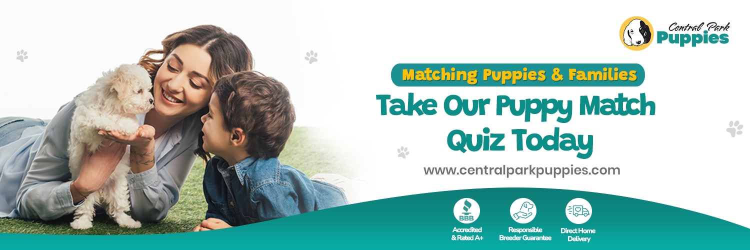 CentralPups's profile banner image