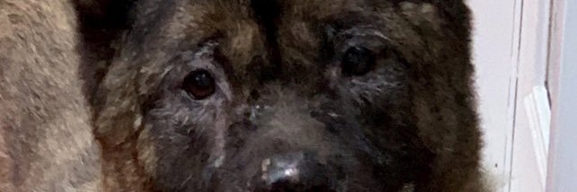AllMilosMatter's profile banner image