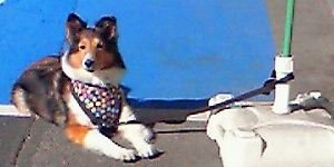 ♪♪♪Chigusa♪♪♪ banner