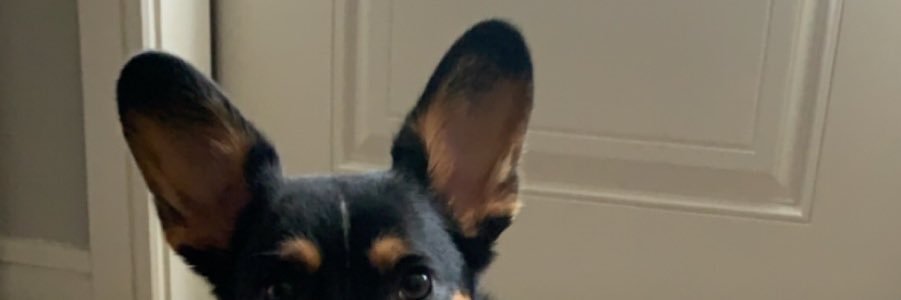jessicalore08's profile banner image