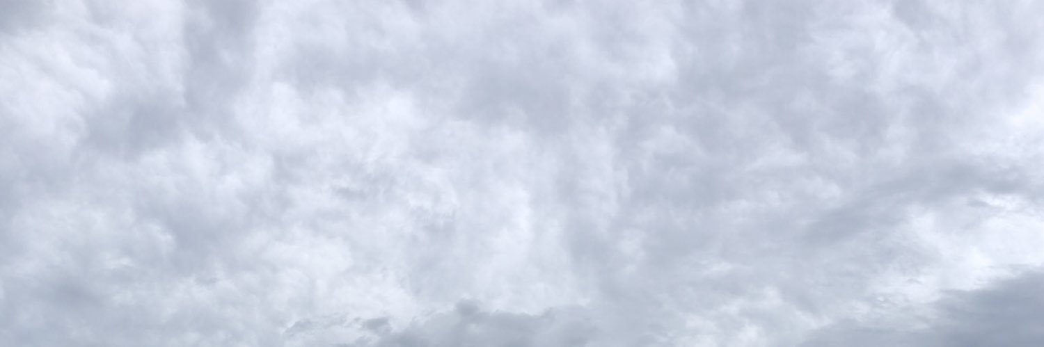Bronwhey's profile banner image