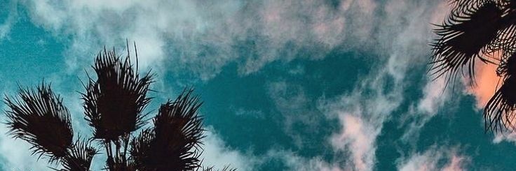 bellota1995's profile banner image