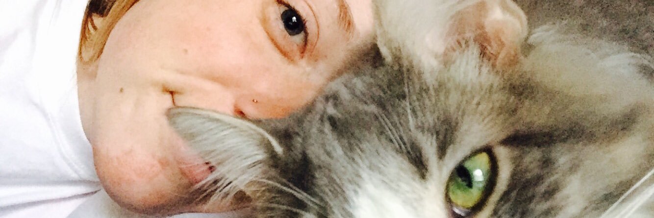 THExREDxHEAD's profile banner image