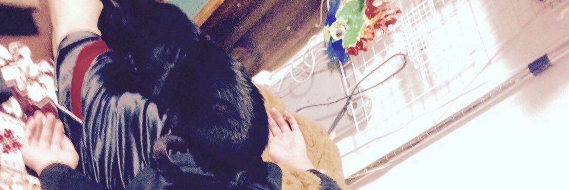 nomu1999's profile banner image