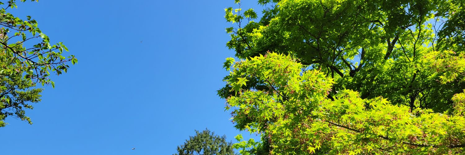 sankrit15's profile banner image