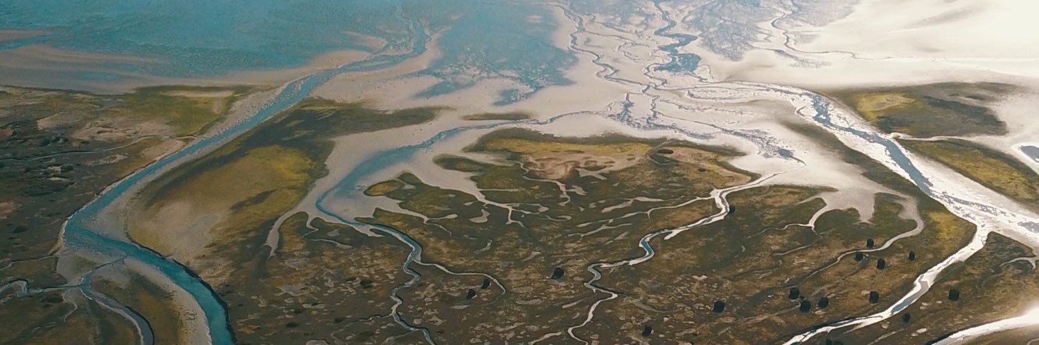 Frans van Zijderveld banner