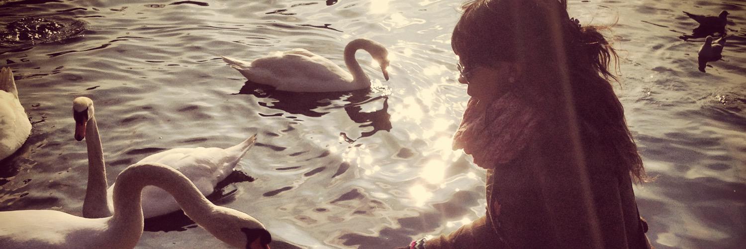 Stephy__O's profile banner image