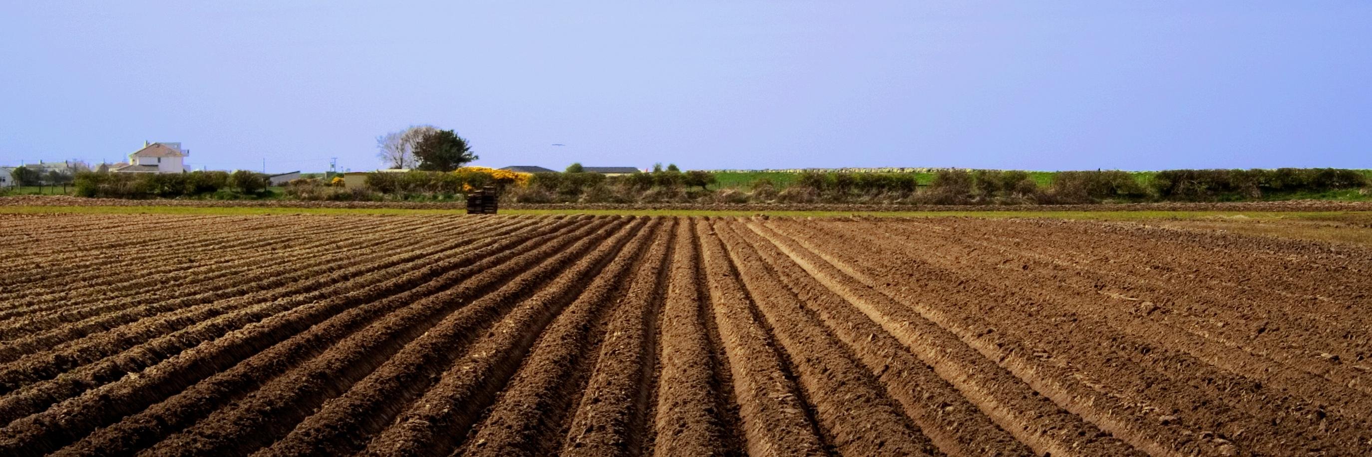 Farming_Hour's profile banner image