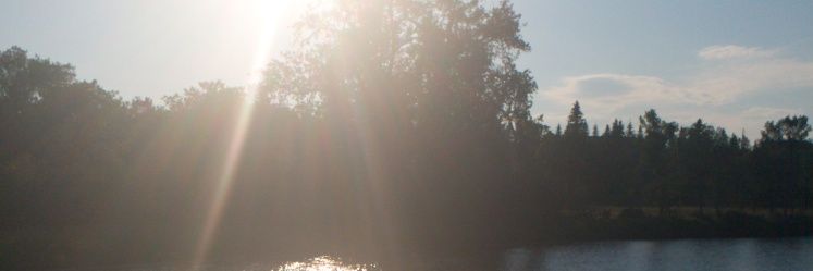 daver_rose's profile banner image