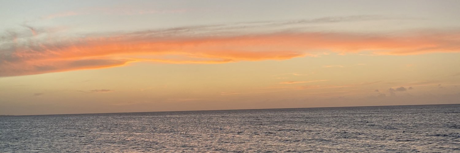 michifeliberti's profile banner image