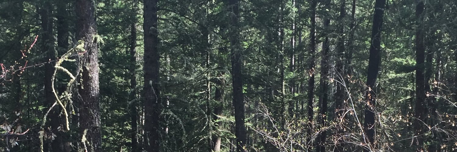TheRealDannyV34's profile banner image