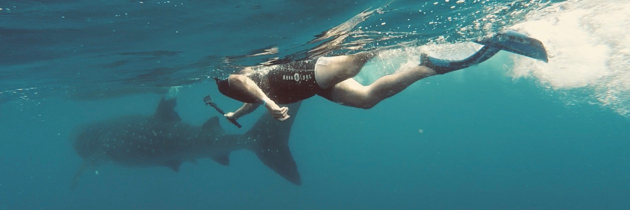 Benoît GILLES banner