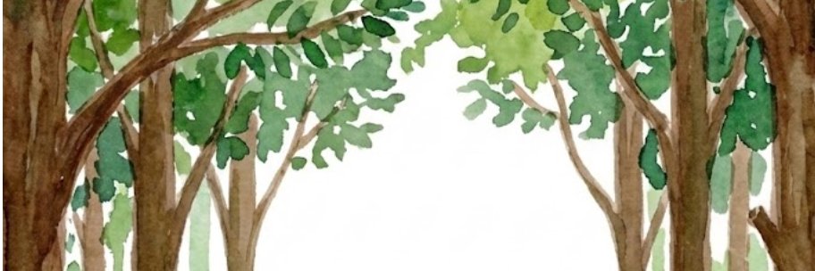 quinnbatten's profile banner image