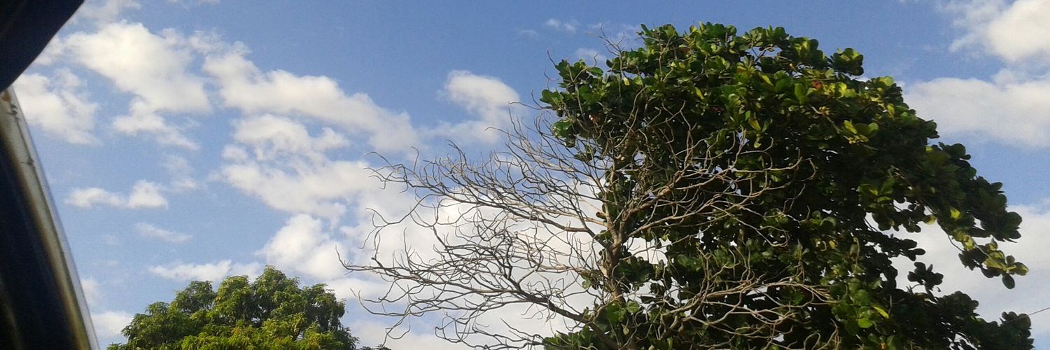 Albanis25's profile banner image