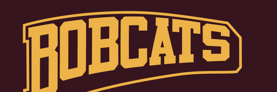BrusselsBobcats's profile banner image