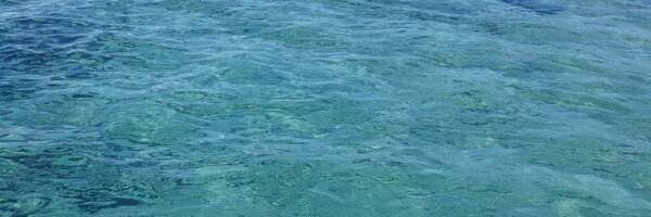 brumeu1 Profile Banner