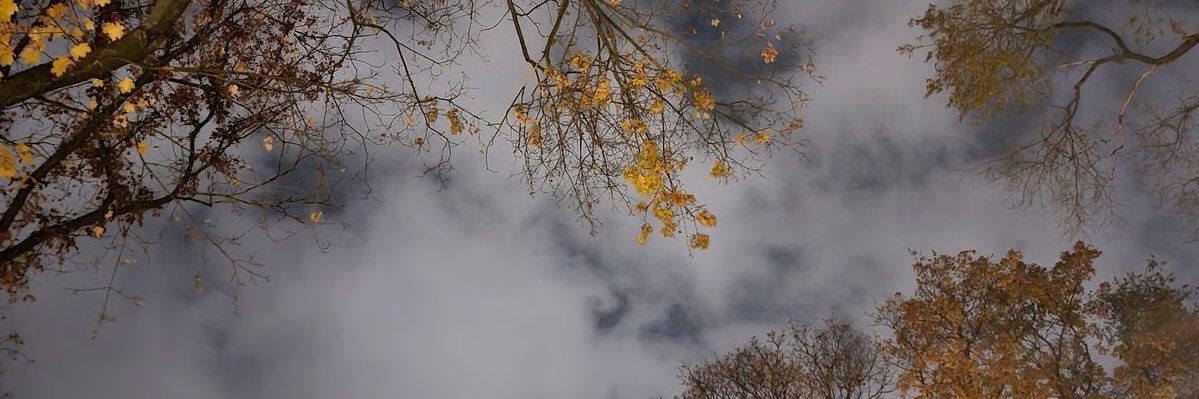 louallthetime's profile banner image