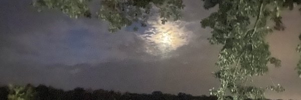 bswanson158 Profile Banner