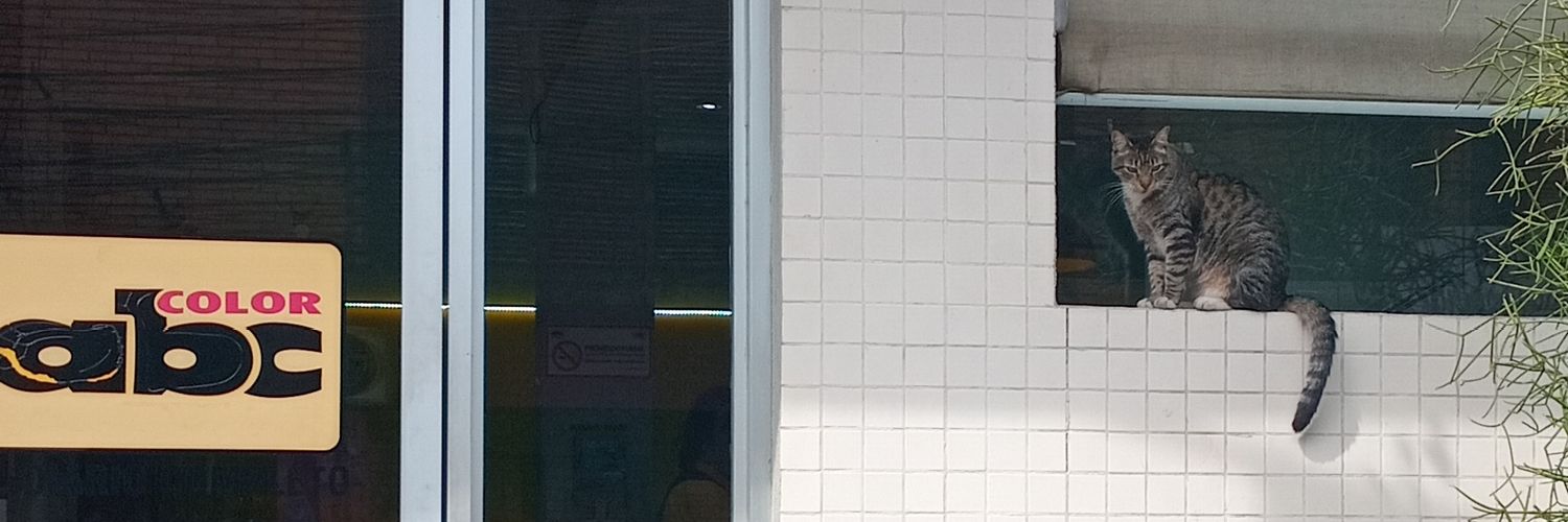 LoreleyAponte's profile banner image