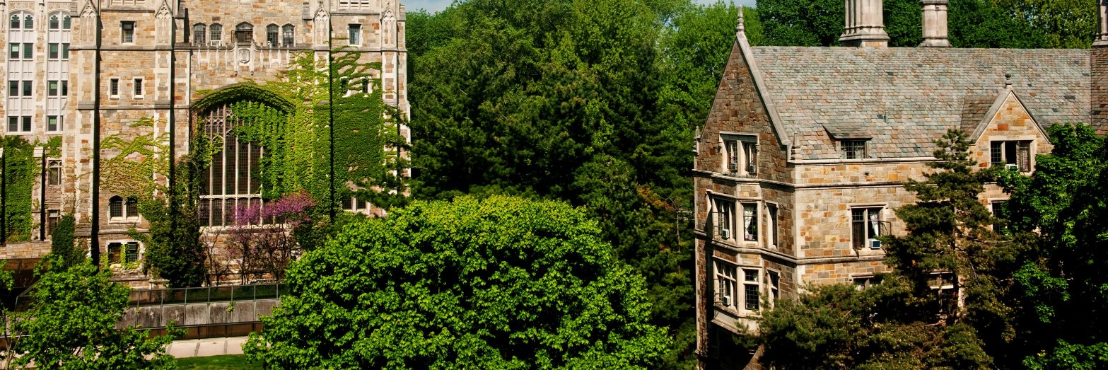 Kristina Daugirdas banner