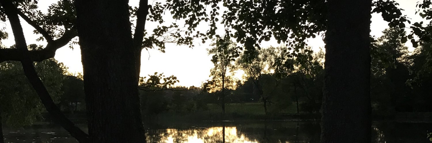 MEStrzelecki's profile banner image
