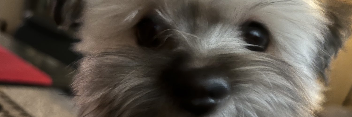 __charlmander's profile banner image