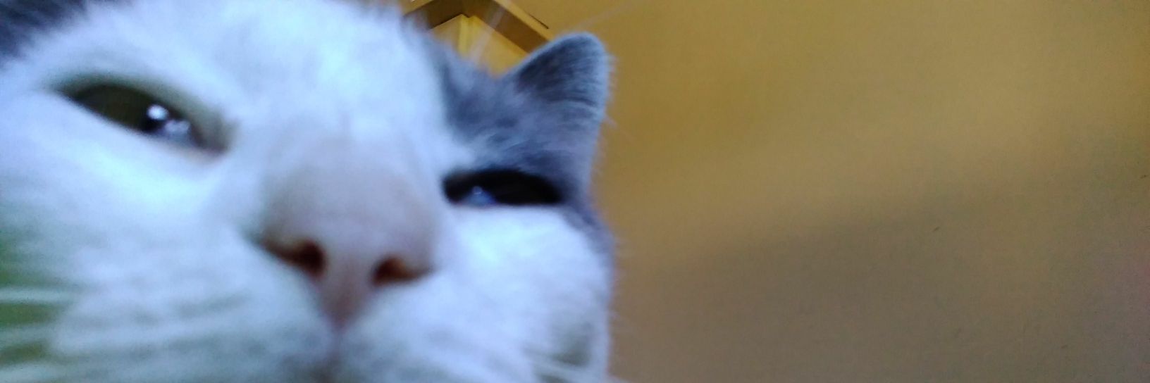 brunoo_mf's profile banner image
