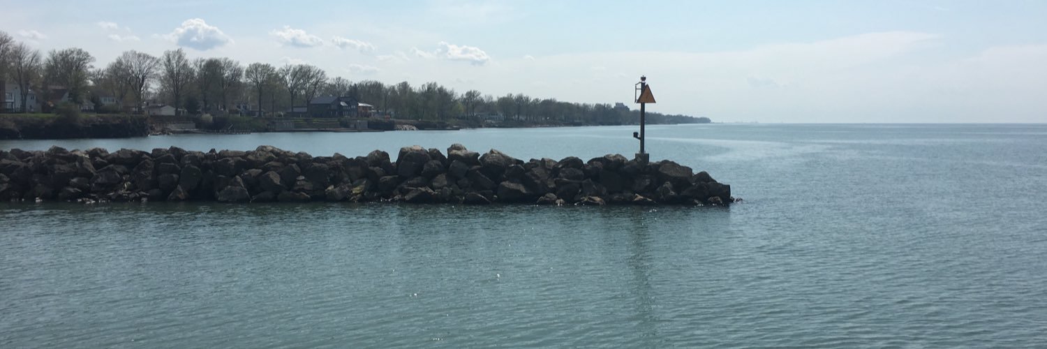 raddoo's profile banner image