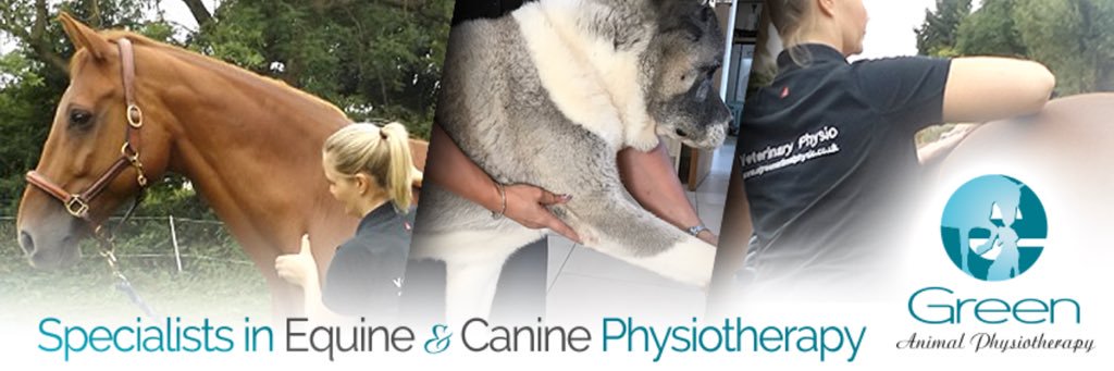 EGREENphysio's profile banner image
