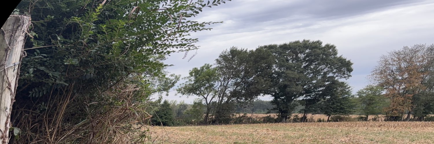 Dylan Massett banner