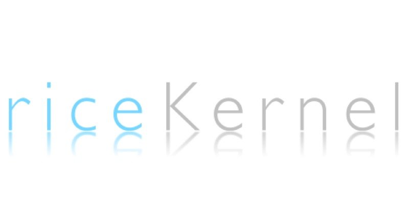 riceKernel_'s profile banner image