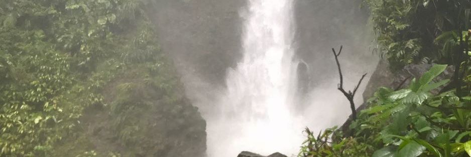 Brian McGregor banner