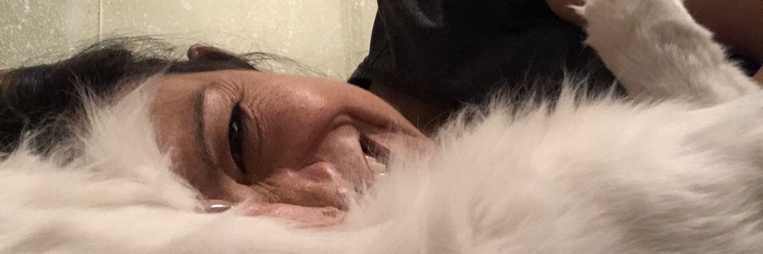 Yadcano's profile banner image