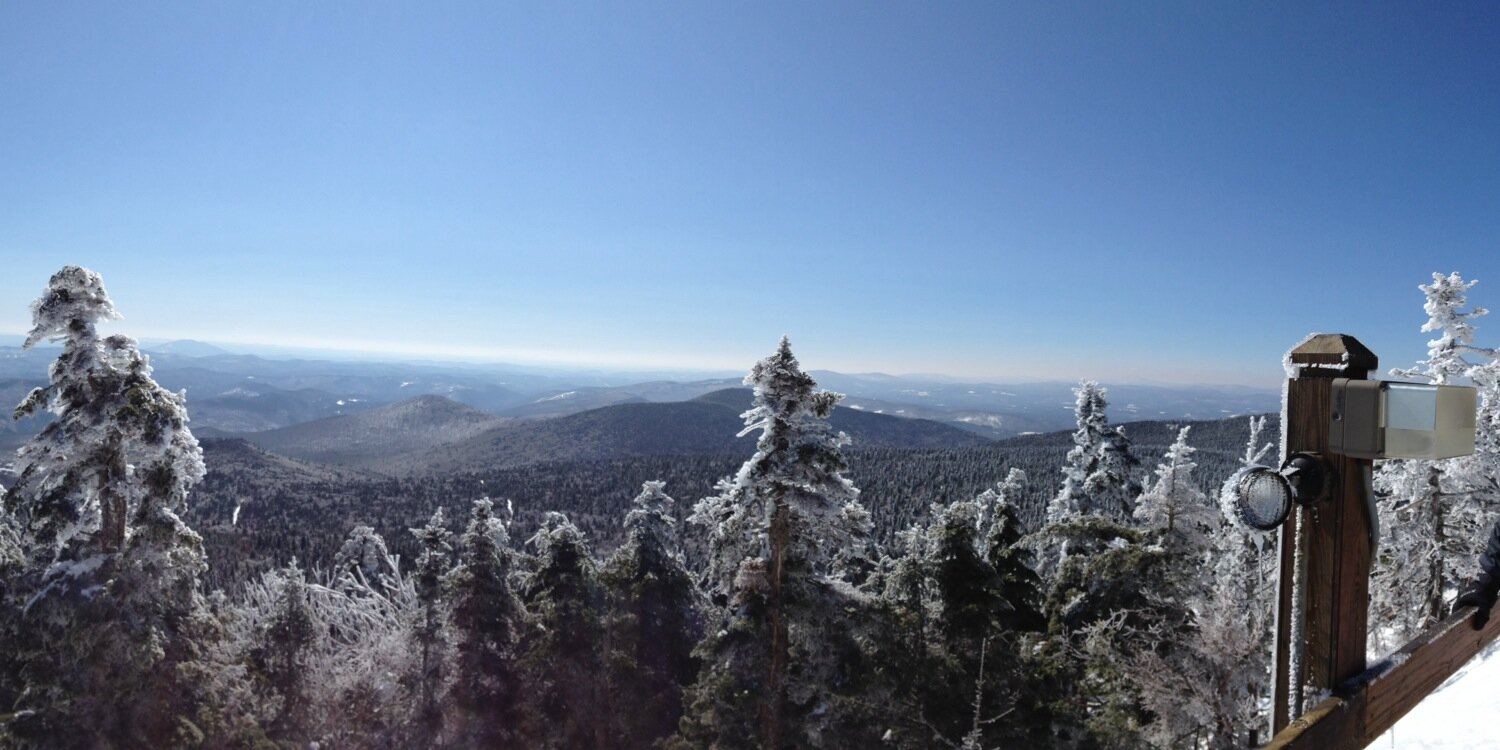 Andrew Cardish banner