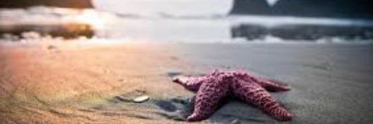 DrShoFlo's profile banner image