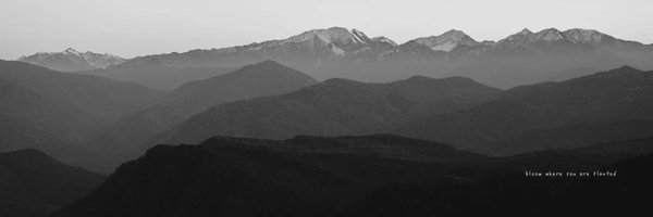 xdLightnin Profile Banner