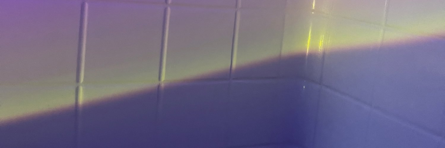 nut_el's profile banner image