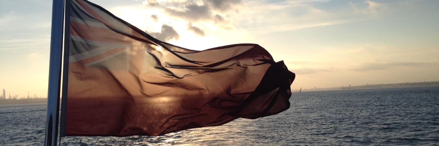 James Kingdom banner