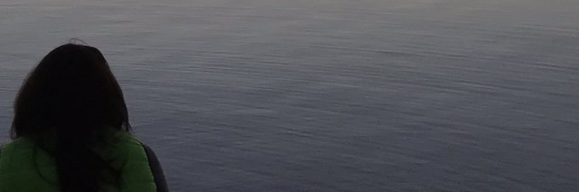 Lulukinss's profile banner image