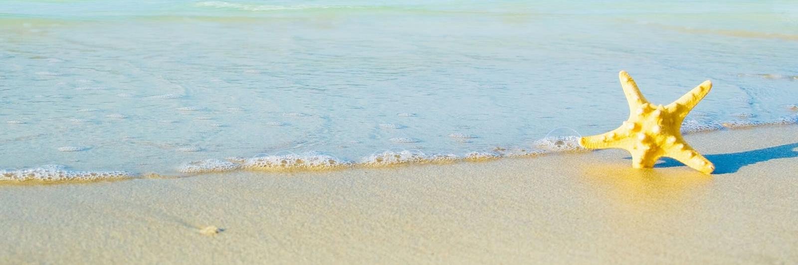 GoldResorts's profile banner image