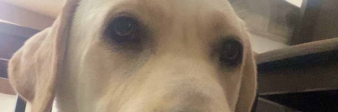 Shantanu Vishwanadha banner