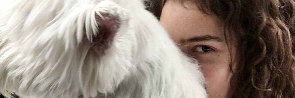 Binaisha_'s profile banner image